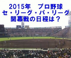 15プロ野球日程一覧 開幕 交流戦 オールスター コイバナ