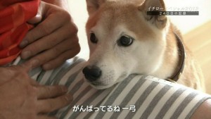 イチローは家族がいる 嫁 子供は コイバナ